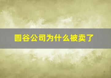 圆谷公司为什么被卖了