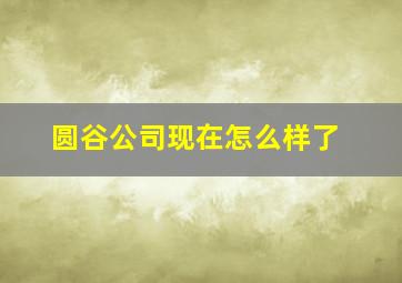 圆谷公司现在怎么样了