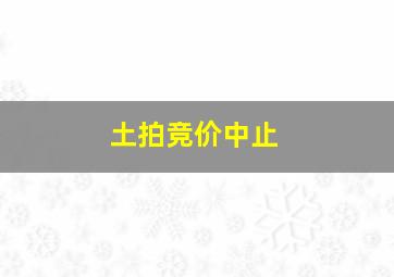 土拍竞价中止