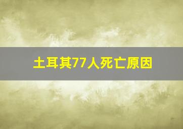 土耳其77人死亡原因