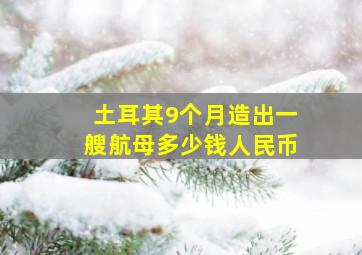 土耳其9个月造出一艘航母多少钱人民币