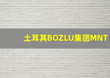 土耳其BOZLU集团MNT