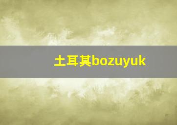 土耳其bozuyuk