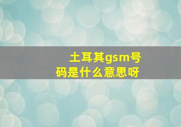 土耳其gsm号码是什么意思呀