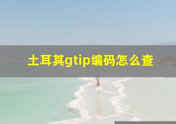 土耳其gtip编码怎么查