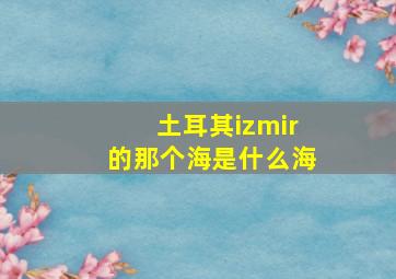 土耳其izmir的那个海是什么海