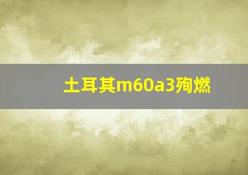 土耳其m60a3殉燃