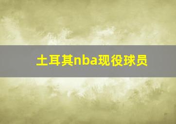 土耳其nba现役球员