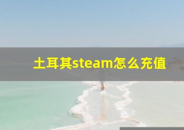 土耳其steam怎么充值