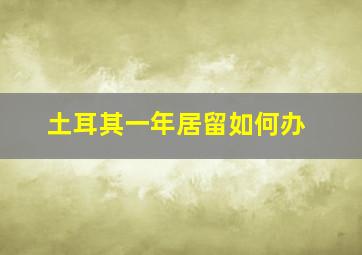 土耳其一年居留如何办