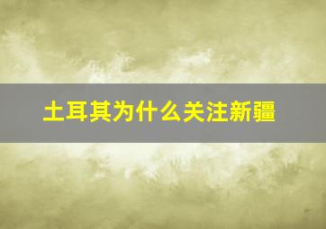 土耳其为什么关注新疆