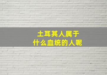 土耳其人属于什么血统的人呢