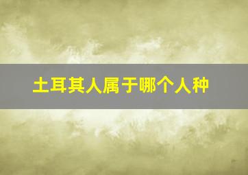 土耳其人属于哪个人种