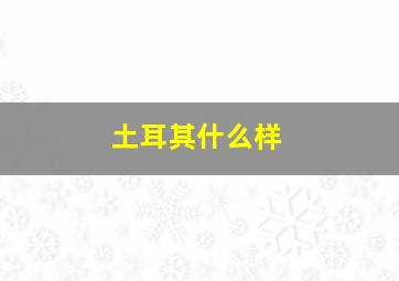 土耳其什么样