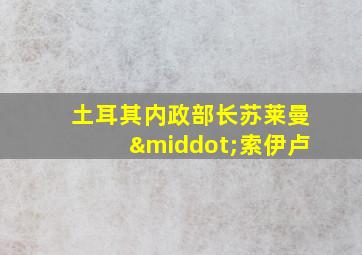 土耳其内政部长苏莱曼·索伊卢