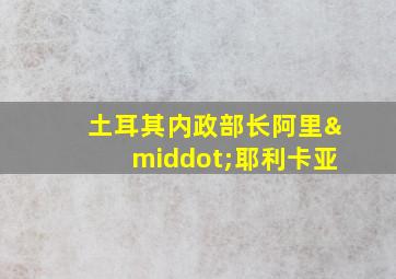 土耳其内政部长阿里·耶利卡亚