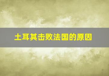 土耳其击败法国的原因