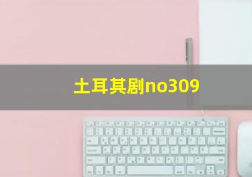 土耳其剧no309