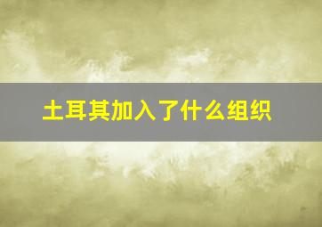 土耳其加入了什么组织