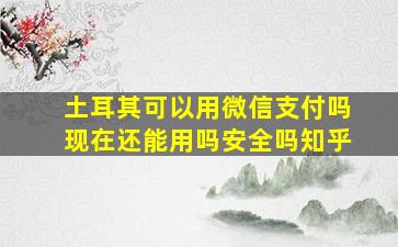 土耳其可以用微信支付吗现在还能用吗安全吗知乎