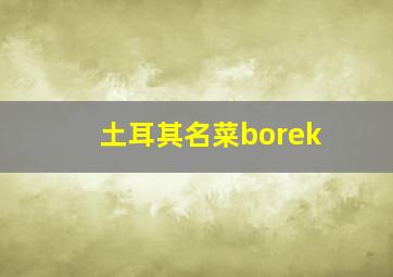 土耳其名菜borek