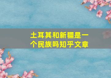 土耳其和新疆是一个民族吗知乎文章