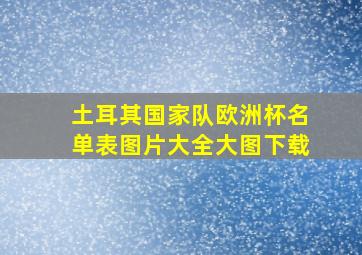 土耳其国家队欧洲杯名单表图片大全大图下载