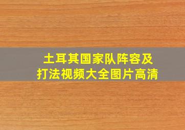 土耳其国家队阵容及打法视频大全图片高清