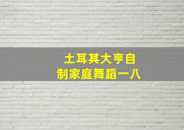 土耳其大亨自制家庭舞蹈一八