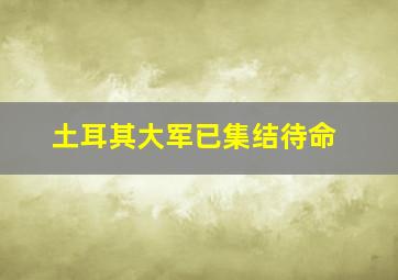 土耳其大军已集结待命