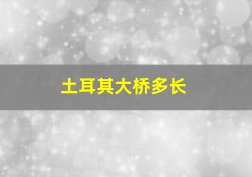 土耳其大桥多长