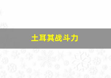 土耳其战斗力