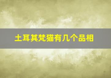 土耳其梵猫有几个品相