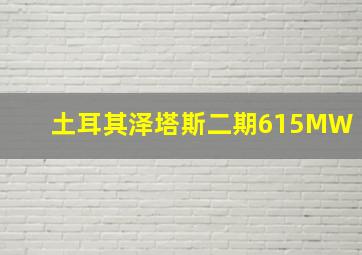 土耳其泽塔斯二期615MW