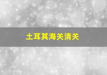 土耳其海关清关