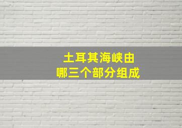 土耳其海峡由哪三个部分组成