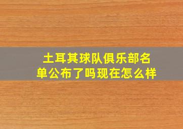 土耳其球队俱乐部名单公布了吗现在怎么样