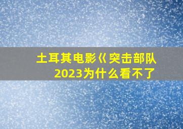 土耳其电影巜突击部队2023为什么看不了