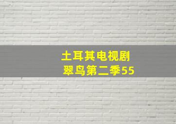 土耳其电视剧翠鸟第二季55