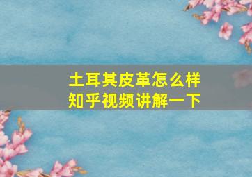 土耳其皮革怎么样知乎视频讲解一下