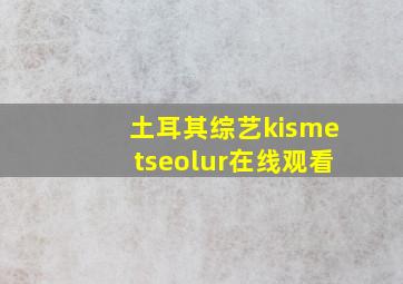 土耳其综艺kismetseolur在线观看