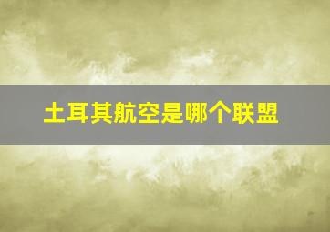 土耳其航空是哪个联盟