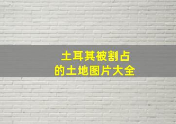 土耳其被割占的土地图片大全