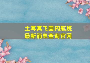 土耳其飞国内航班最新消息查询官网