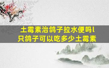 土霉素治鸽子拉水便吗l只鸽子可以吃多少土霉素