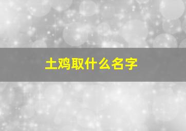 土鸡取什么名字