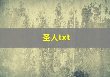 圣人txt