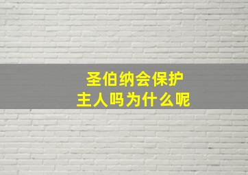 圣伯纳会保护主人吗为什么呢