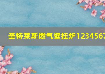 圣特莱斯燃气壁挂炉1234567