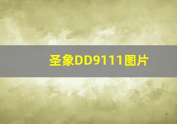 圣象DD9111图片